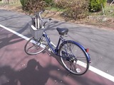 森林公園のレンタサイクル
