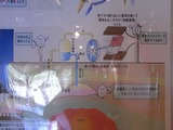 PR館の中3