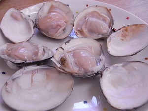 焼き上がったはまぐり