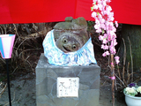 茂林寺のひな祭り14
