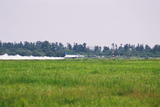 松島基地航空祭14