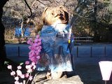 茂林寺のひな祭り08