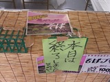 ブルーフェスティバル07