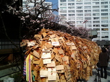 湯島天神12