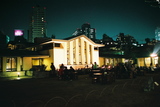 自由学園の夜桜3