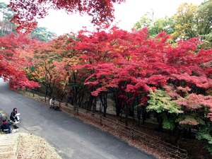 もみじ谷で写生している人たち