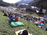 日傘