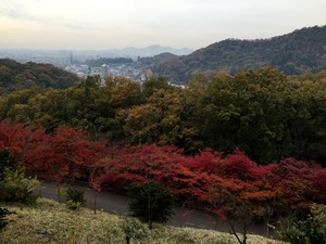 もみじ谷の紅葉と足利市街の遠景