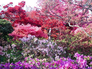 ���ϸ�Ω�ĤĤ��������� �����껳�Τ褦�˺餭�ؤ뿧�Ȥ�ɤ�������ΤĤĤ�