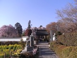 慈雲寺参道