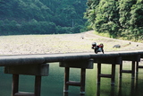 沈下橋1