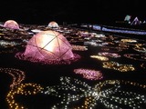 昭和記念公園28