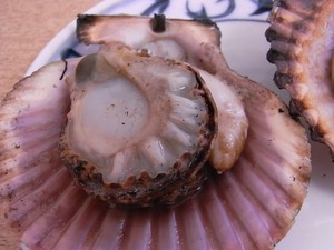 焼き上がったひおき貝のアップ