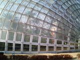 フルーツ公園3
