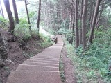 第二展望台への階段1