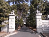 豪徳寺参道