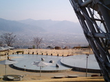 フルーツ公園7