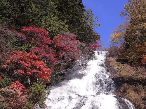 紅葉の湯滝