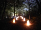 灯籠が並ぶの散策路2