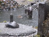 池の中の石