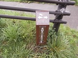 周遊路の標識