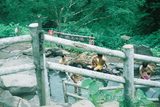 吹上温泉2