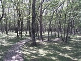 エピナール那須37