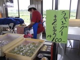 ブルーフェスティバル09