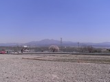 王仁塚の桜遠景
