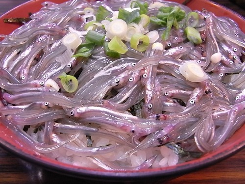 豊浜魚ひろば 小女子丼
