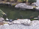 池