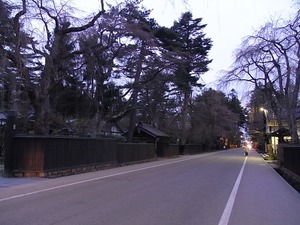 人通りも少ない夕暮れの角館武家屋敷通りと咲いていないしだれ桜2