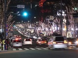 表参道のイルミネーション02