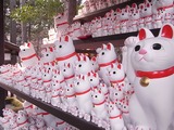 奉納された招き猫たち4