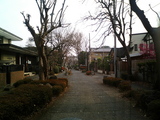 盆栽村13
