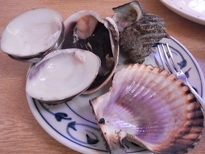 食べ終わった貝殻