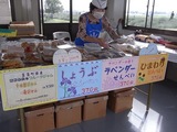 ブルーフェスティバル11