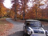 紅葉の群馬県自然の森2