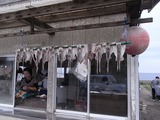 店前に干されたイカ