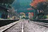 紅葉のわたらせ渓谷鐵道08