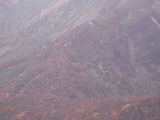 山肌の紅葉3