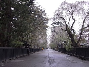 角館 早朝の武家屋敷を道路中央から見る