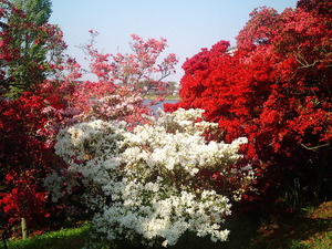 ���ϸ�Ω�ĤĤ��������� �����֤ȿ�����β֤�餫���������ΤĤĤ�