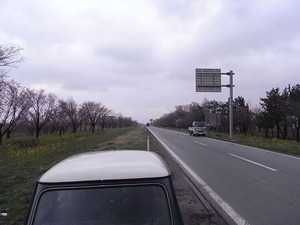 大潟村桜・菜の花ロード 11kmの桜並木スタート地点