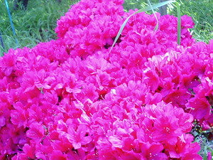 ���ϸ�Ω�ĤĤ��������� �ܰ��ղ֤�餫�����ֻ翧�������ΤĤĤ�