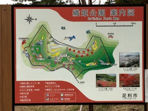 織姫公園の案内図