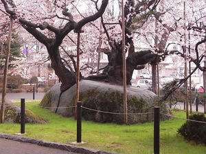 後ろから