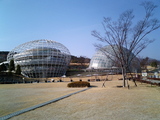 フルーツ公園1