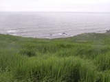 千枚田の中から見る風景4