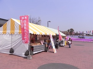 太田市北部運動公園 おおた芝桜まつり 出店アップ